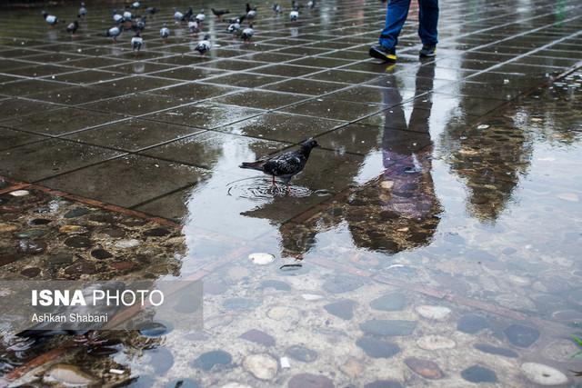 کمبود 27 درصدی بارش ایران، سیستان وبلوچستان در صدر استان های کم بارش