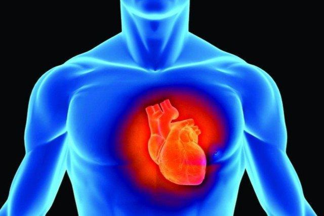 اثرات استرس محیطی بر بافت معمول و غیرمعمول قلب