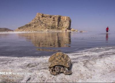 طرح معاونت علمی برای احیای دریاچه ارومیه با یاری فناوری