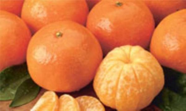 نارنگی؛ ضدعفونی کننده طبیعی
