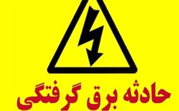 مرگ 552 نفر به دلیل برق گرفتگی