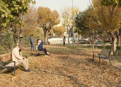 فرش هایی از جنس برگ پاییزی در بوستان های منطقه 13